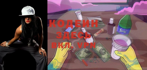 индика Верея