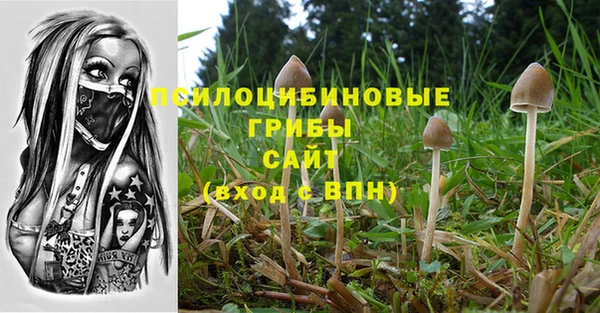 Альфа ПВП Балахна
