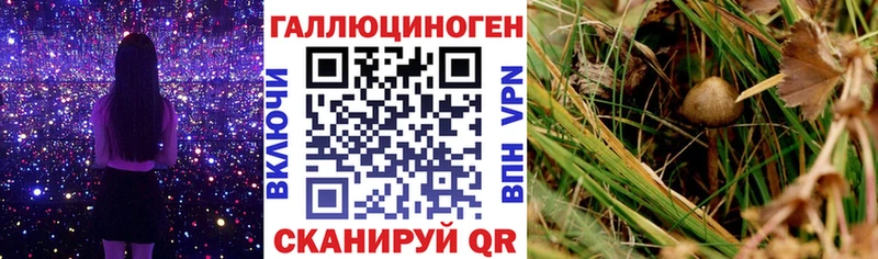 Галлюциногенные грибы MAGIC MUSHROOMS  Велиж 