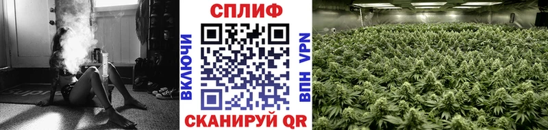 Каннабис LSD WEED Велиж