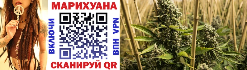 где можно купить наркотик  Велиж  Конопля марихуана 